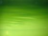 Green 085